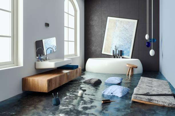Best Water damage restoration cost  in Starbuck, MN