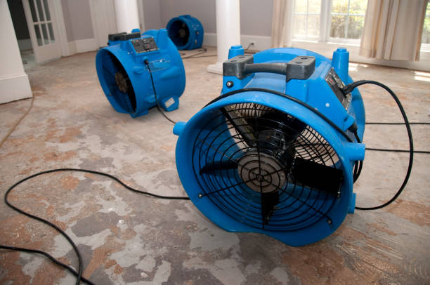Best Water damage contractors near me  in Starbuck, MN