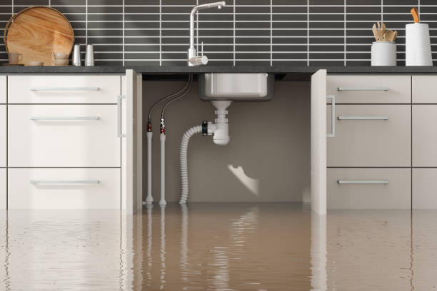 Best 24-hour water damage restoration  in Starbuck, MN
