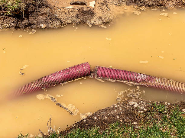 Best Water damage restoration process  in Starbuck, MN
